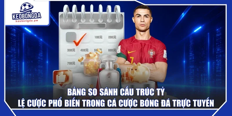Bảng so sánh cấu trúc tỷ lệ cược phổ biến trong cá cược bóng đá trực tuyến
