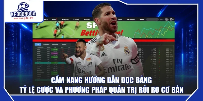 Cẩm nang hướng dẫn đọc bảng tỷ lệ cược và phương pháp quản trị rủi ro cơ bản