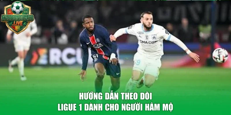 Hướng dẫn theo dõi Ligue 1 dành cho người hâm mộ