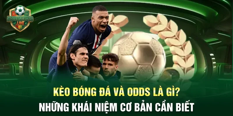 Kèo bóng đá và odds là gì? Những khái niệm cơ bản cần biết